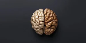 تأثیرات مصرف گردو در وعده صبحانه