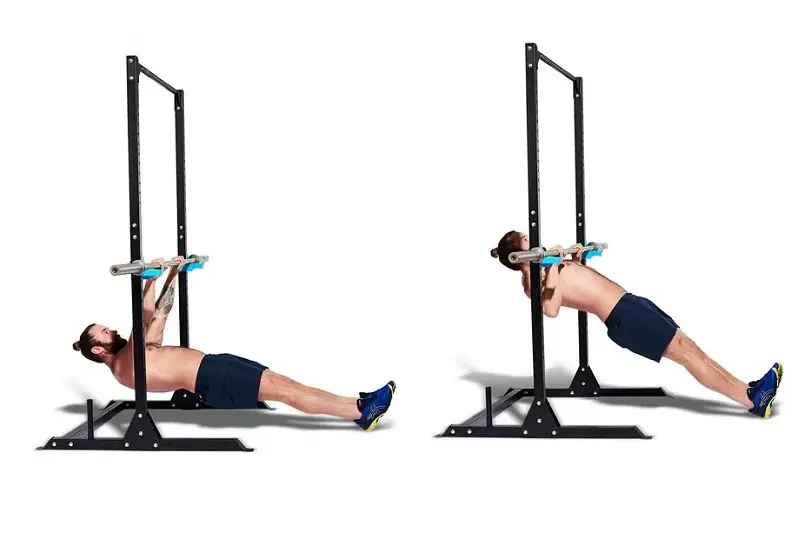 8.   عضلات دلتوئید خلفی (Rear Delts) 