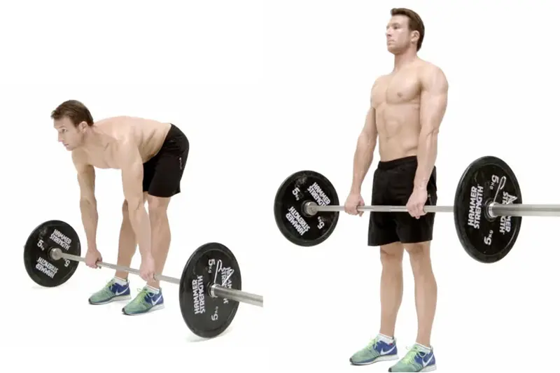 2.    همسترینگ (Hamstrings) 