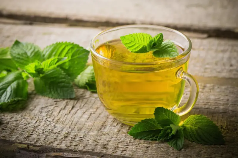 چای نعناع