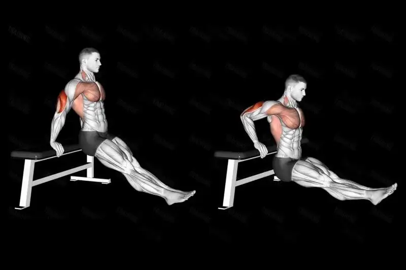 ۴. دیپ نیمکت (Bench dips)