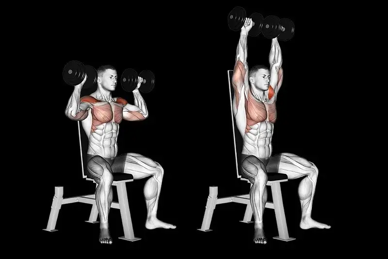 ۱. پرس سرشانه (Overhead press)