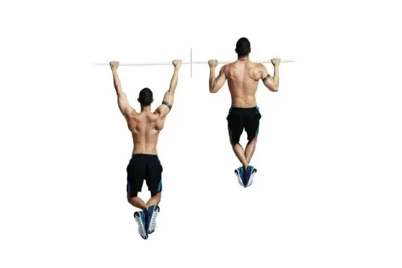 ۷. بارفیکس (Pull-Ups)