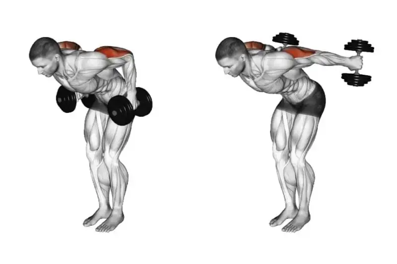 ۳. کیک‌بک پشت بازو (Triceps kickback)
