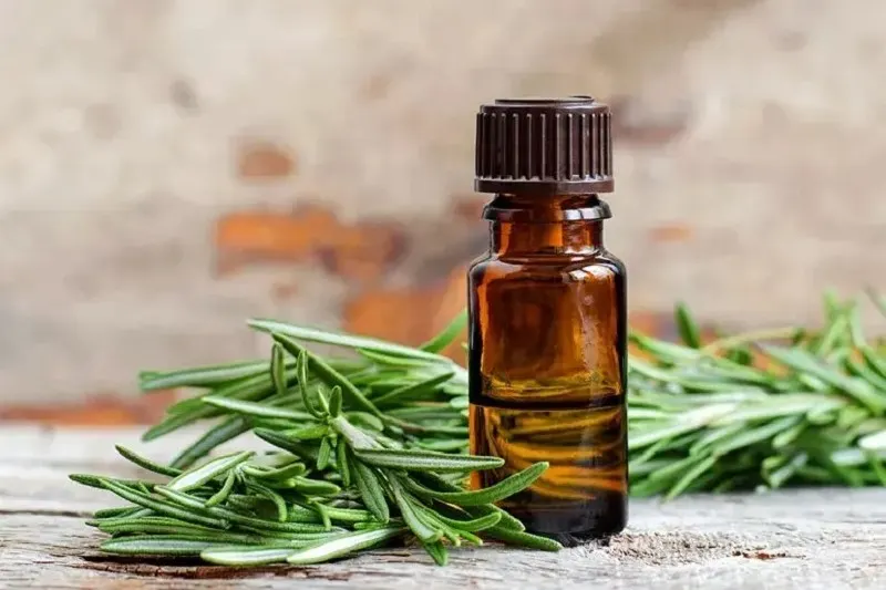 روغن رزماری