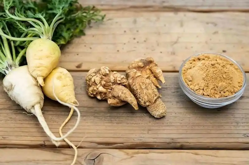 ریشه ماکا