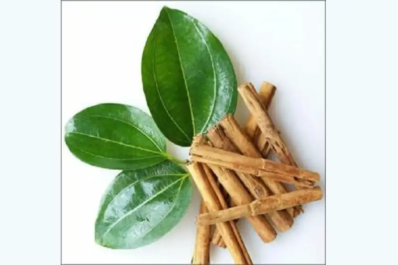 دارچین-برای-درد-التهاب-معده