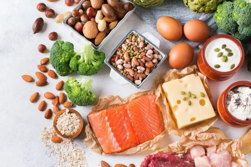 ۴. تنوع در منابع پروتئینی