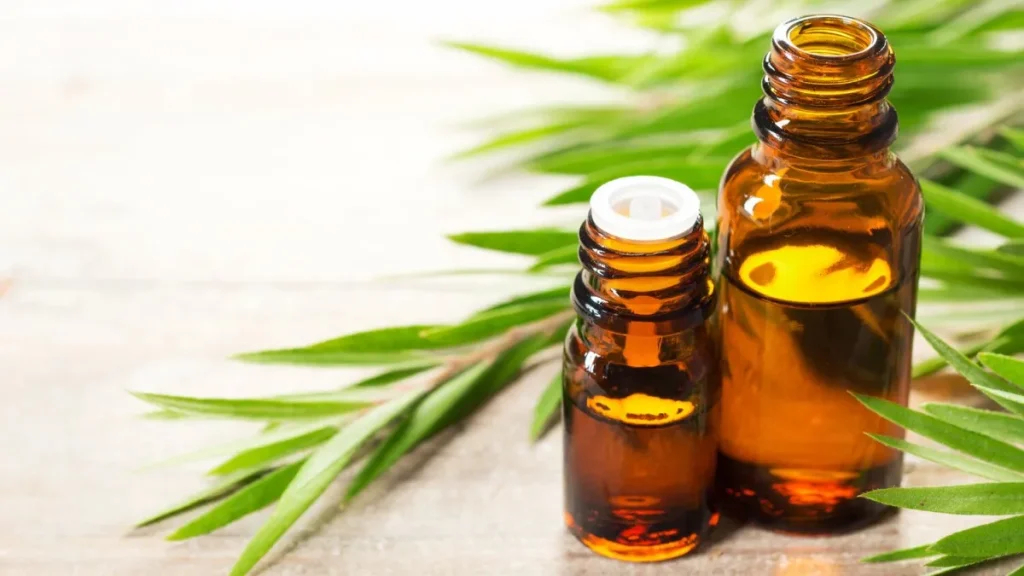 Benefits of tea tree oil for hair and skin