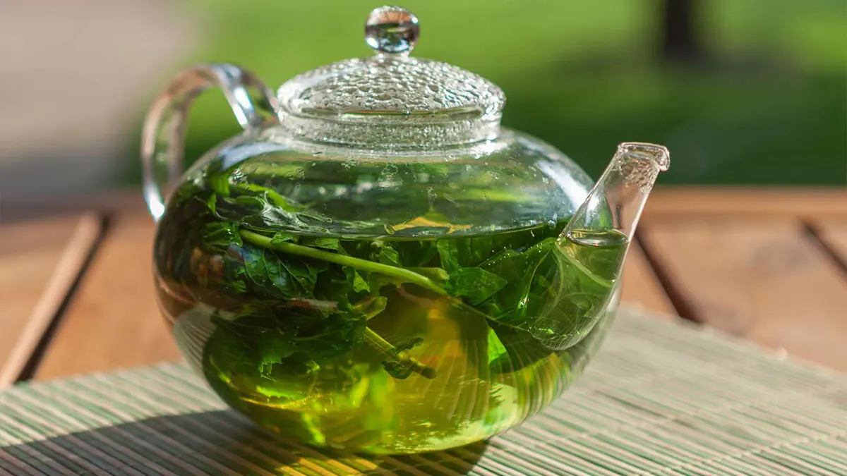 دمنوش نعناع برای لاغری