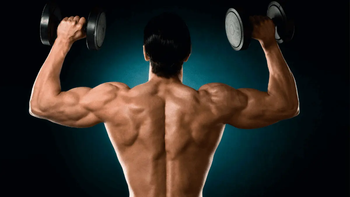 تمرینات ۶ گانه برای تقویت دلتویید پشتی و بالاتنه