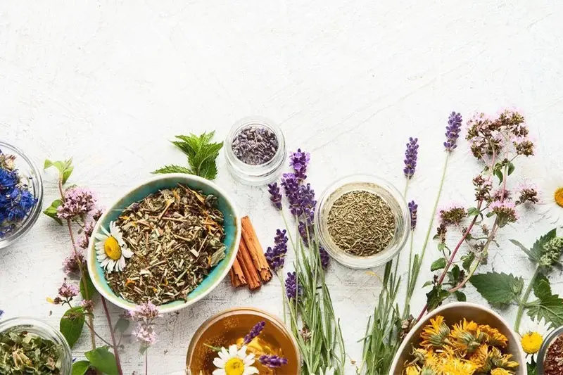 چرا داروهای گیاهی می توانند عارضه داشته باشند؟