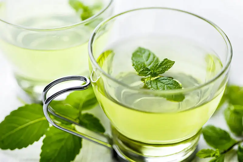 برخی از خواص دمنوش نعناع