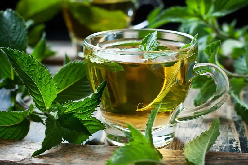 تازه کردن نفس و بهبود تنفس