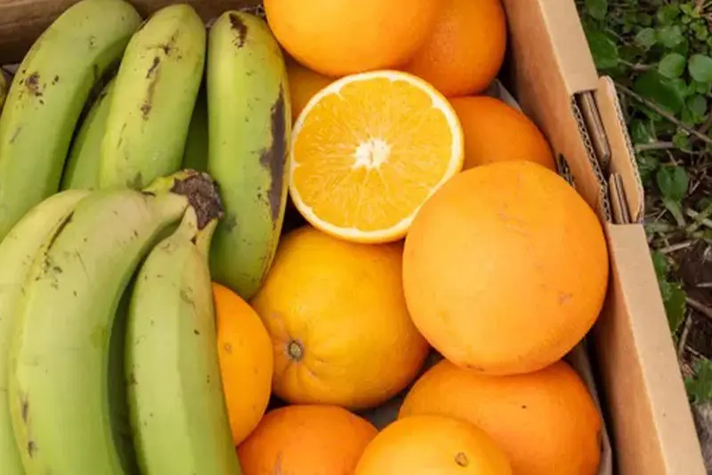 - میوه برای تقویت مغز 2