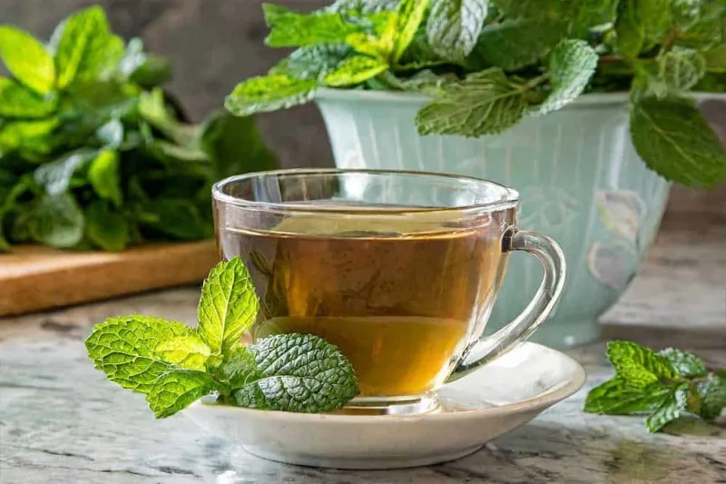 آیا دمنوش نعناع برای معده درد خوب است؟