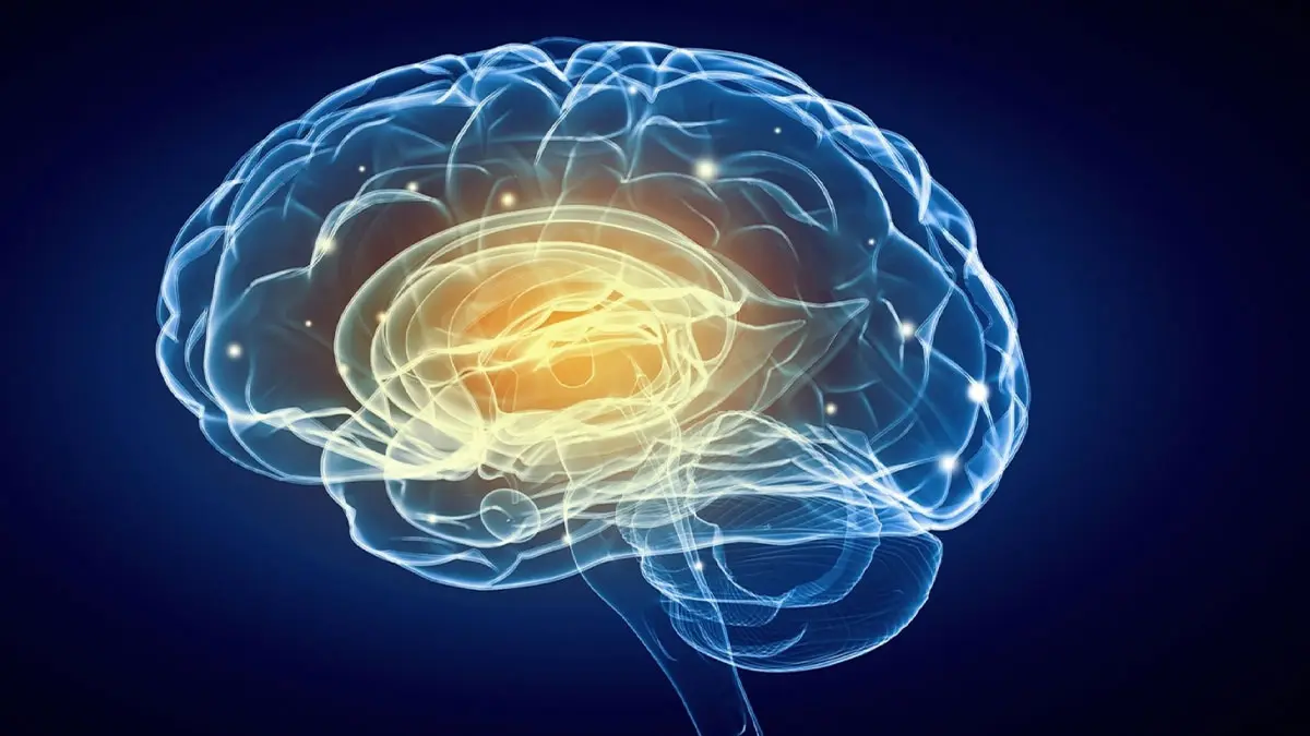 ۱۰ روش شگفت انگیز برای تقویت حافظه