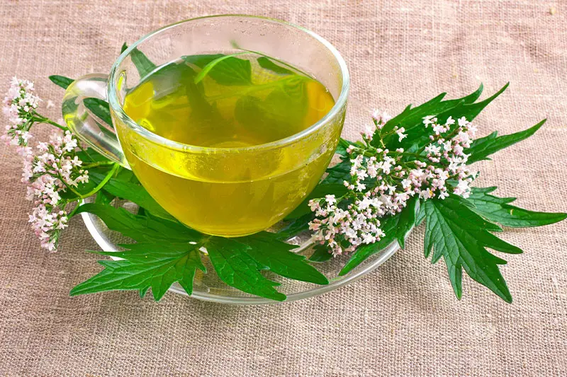 2. چای سنبل الطیب؛ آرامش عمیق برای خواب بهتر