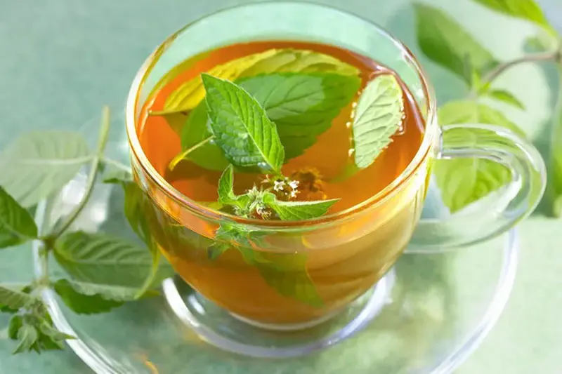 7. چای سبز؛ آرامشبخش و موازنهکننده سیستم عصبی