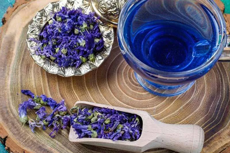 گل گاوزبان، مراقب قلب و اعصاب