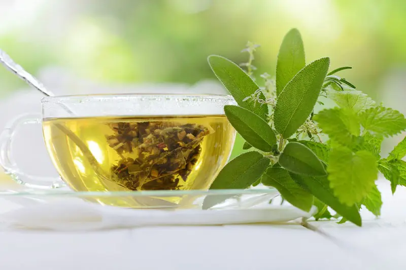 - کنترل چربی پوست 4