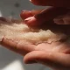 Making a scrub for ingrown hairs