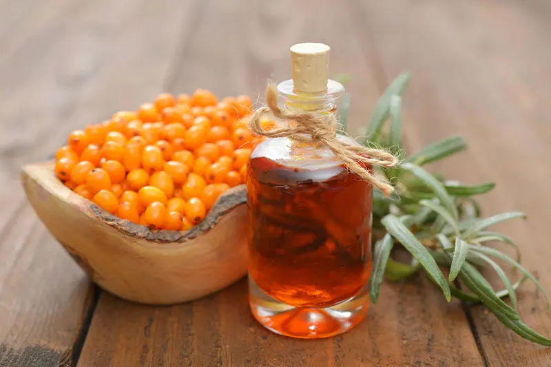 روغن زرشک دریایی